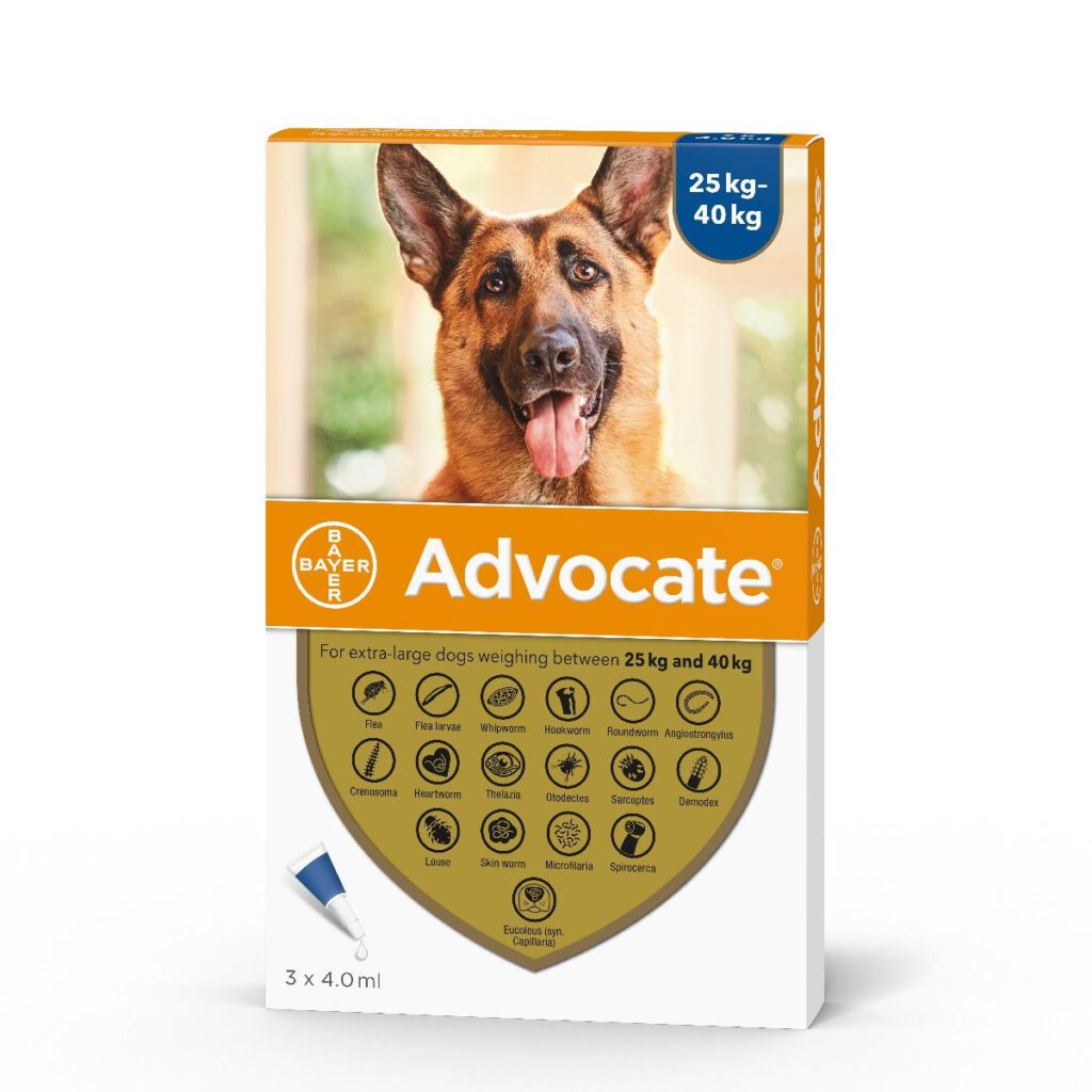 advocate-for-dogs-over-25kg-hk-pet-shop